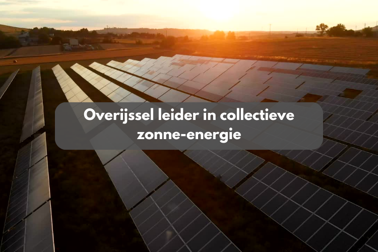 Overijssel leider in collectieve zonne-energie: 43 megawattpiek